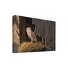 Trademark Fine Art Wilhelm Goebel 'Ready For The Hunt Barn Owl' Canvas Art, 16x24 ALI33816-C1624GG